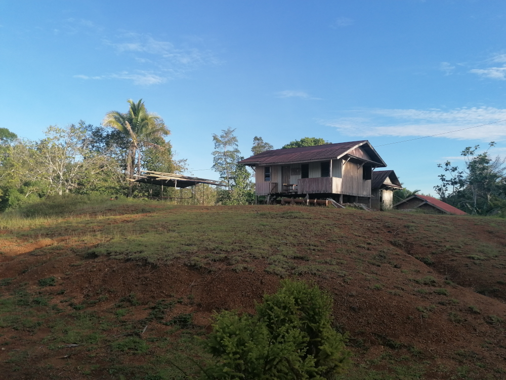 Upyetetko house